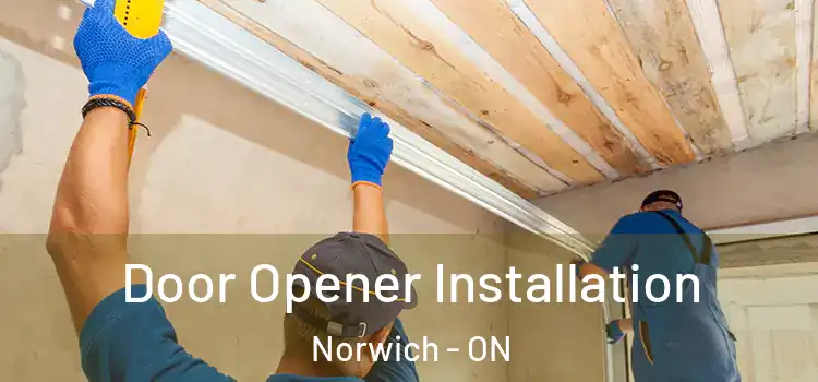  Door Opener Installation Norwich - ON