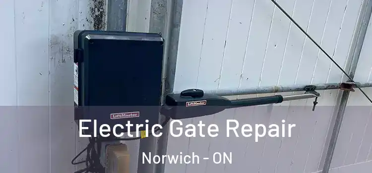 Electric Gate Repair Norwich - ON