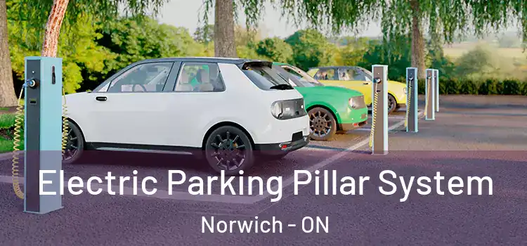 Electric Parking Pillar System Norwich - ON