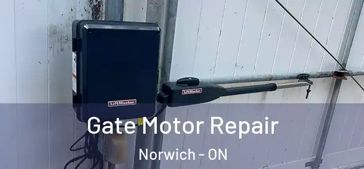 Gate Motor Repair Norwich - ON