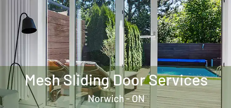  Mesh Sliding Door Services Norwich - ON